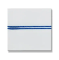 Мешок для мусора с синей полосой 70 л TTS 00003631